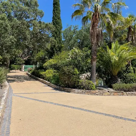 Morigati - Les Palmiers *