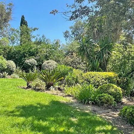 Villa Morigati - Les Palmiers *